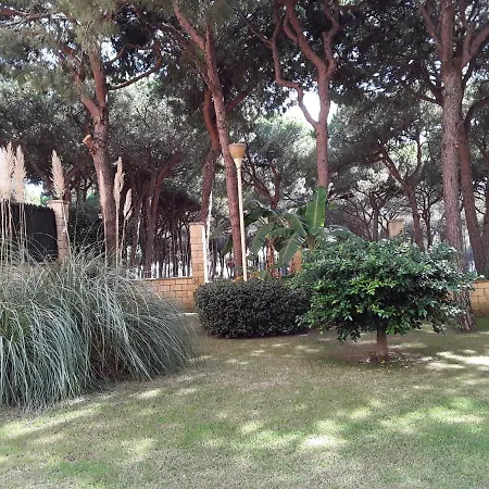 Apartman Sunny- Homes Vi,playa, Calahonda 350 M Playa